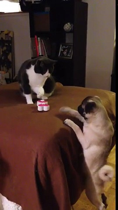 Gibson likes to share