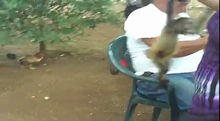 baby jeannelyn playing with baby monkey.