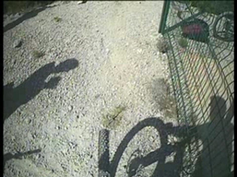 Enduro Back to the trail Sp5 "Speed Trail"