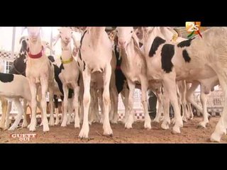 GUETH GUI DU DIMANCHE 4 SEPTEMBRE 2016