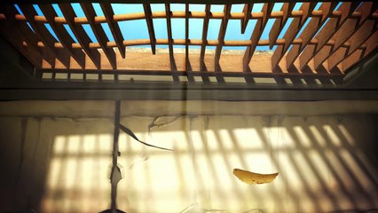 Best Funny Movies - Larva Season 1 Episode 18: Cocoon 1