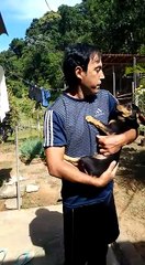 Opressão De Direita