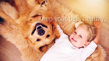 What To Expect From Pet's Delight In Dubai