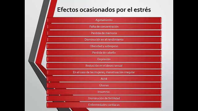 15 Consejos para reducir el estrés