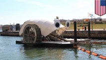 Mr. Trash Wheel clears over a million pounds of trash from harbor