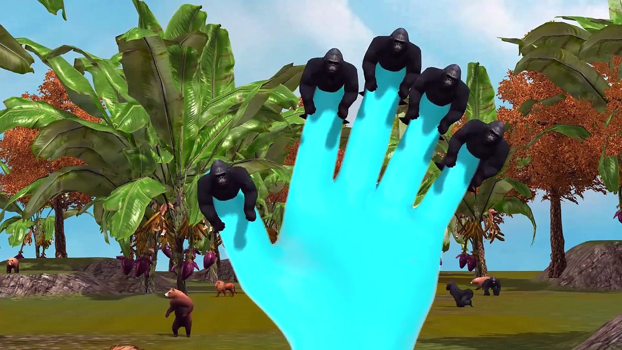 Gorilla Finger Family 3D Animated Animal Finger Family Rhymes For Children
