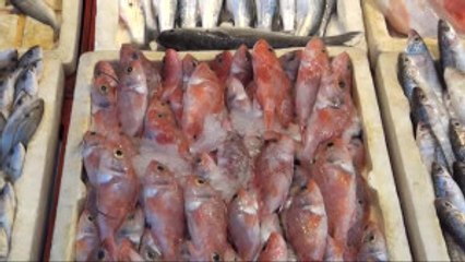 Balıklar Tezgahları Doldurdu, Fiyatlar Yarı Yarıya Düştü