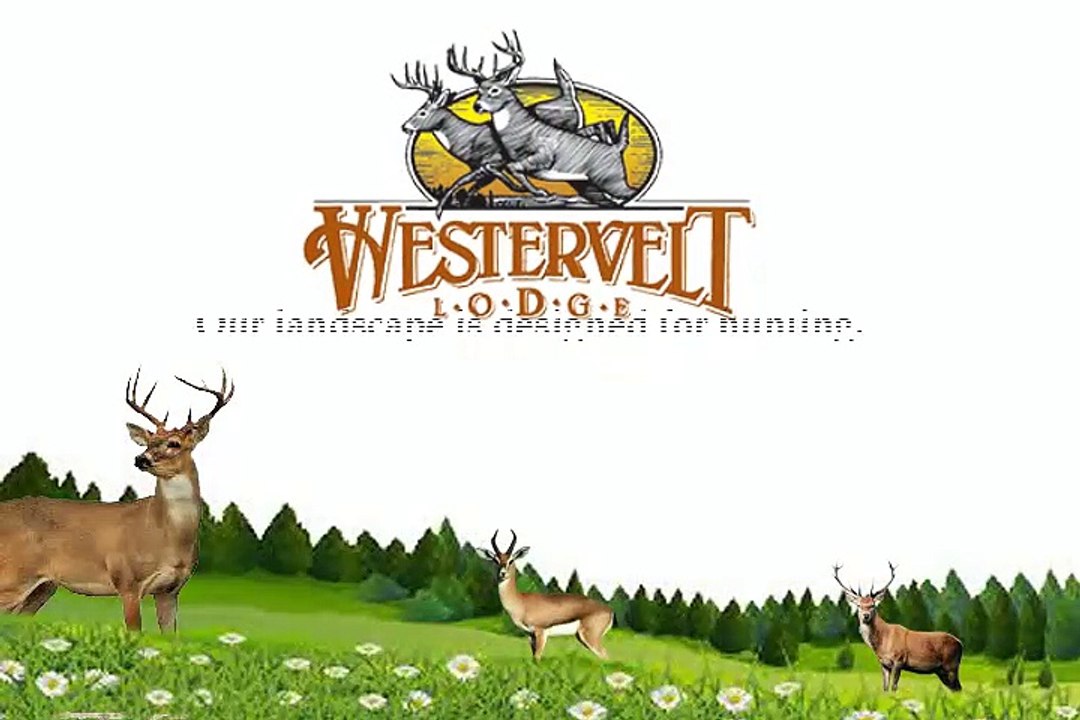 BEST WHITETAIL DEER HUNTING IN ALABAMA