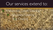 Expert Residential And Commercial Carpet Cleaning & Repair Services - Baltimore Region