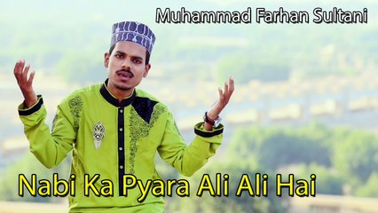 Muhammad Farhan Sultani - Nabi Ka Pyara Ali Ali Hai