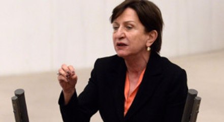 CHP'li Binnaz Toprak'ın Attığı 'Hayır' Tweet'i Alay Konusu Oldu