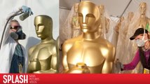 Cultura general de los Oscars que todo fan de películas debe saber