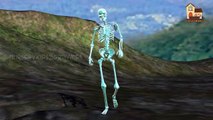 Crazy Skeleton Dance Finger Family 3d Animated Popular Nursery Rhymes