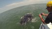 Une raie manta géante arrive près de pêcheurs !