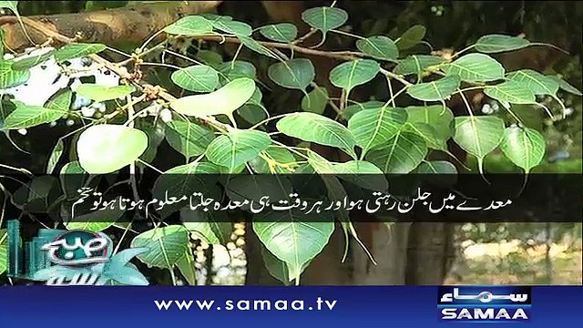 Subah Saverey Samaa Kay Saath | SAMAA TV | Madiha Naqvi | 27 Feb 2017