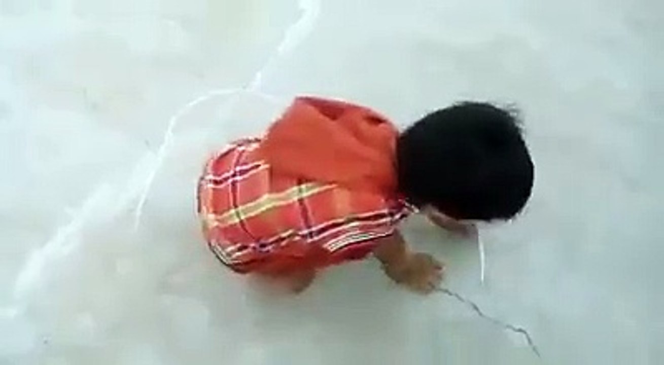 Amazing Talent!