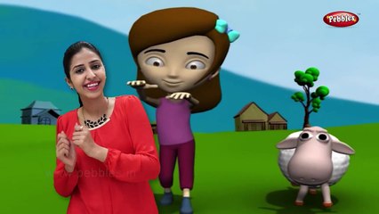 María Tenía Un corderito canción infantil Con Letra de dibujos animados Animación Rimas y Canciones para Ch