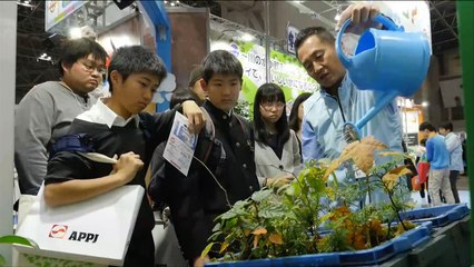 هذا الصباح- أوراق الصحف قابلة للزراعة في اليابان