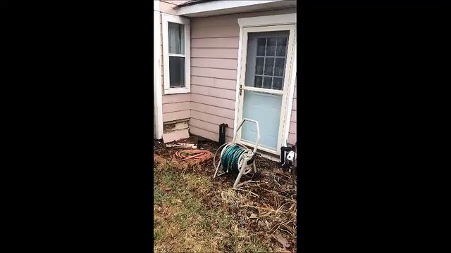 Home Inspection San Antonio Shows Active Termites | (830) 420-6442 | CALL US!