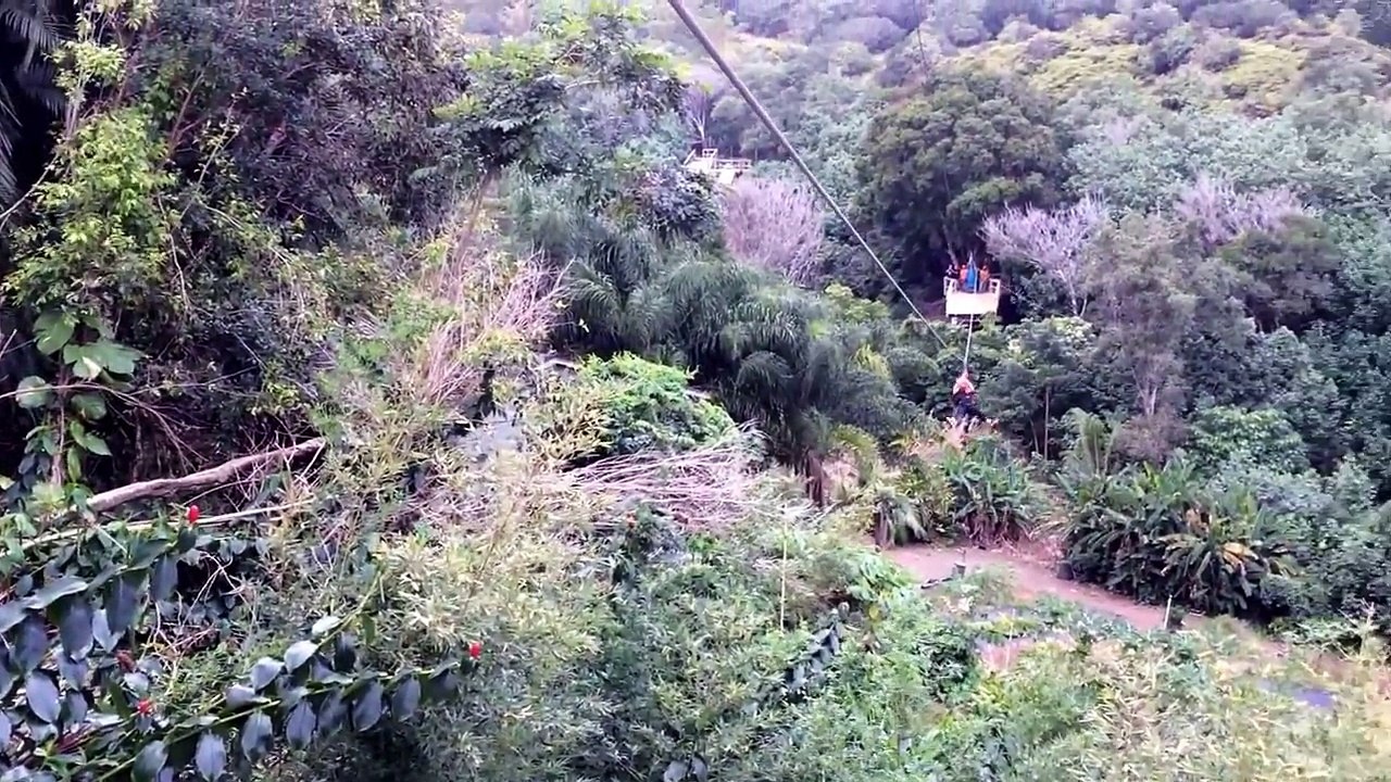 Maui Zipline Tours | Zipline Tour in Hawaii | Junglezip.com