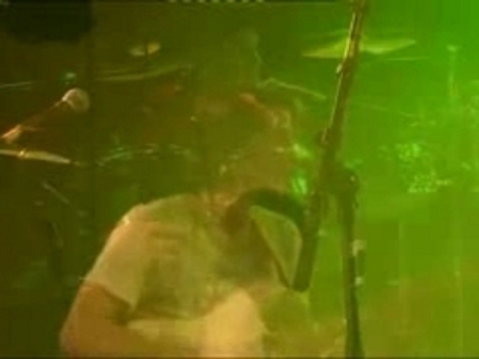 Cross the road 2007