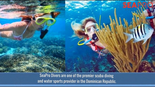 Excursion In Punta Cana - Seaprodivers.com