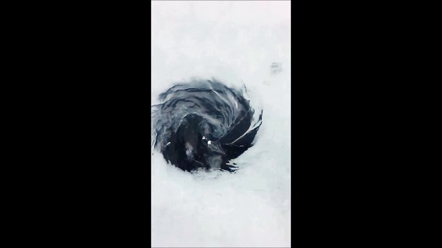 Un lac se vide par un trou dans la glace !