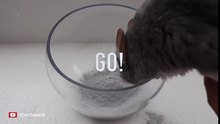 Un bain de sable: le comble du bien-être pour votre chinchilla