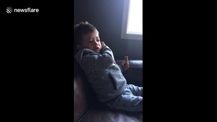 Two-year-old devastated after his dog ate his granola bar
