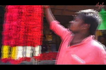 Indian Holiday Pvt.Ltd. Review by Mr. AJ Greenway & Ms.Hannah Morris