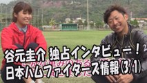 日本ハム 谷元圭介 独占インタビュー！ 日本ハムファイターズ情報 2017.3.1 プロ野球
