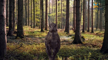 Dinosaurs Finger family 3d rhyme | Animated Nursery Children Finger Family song