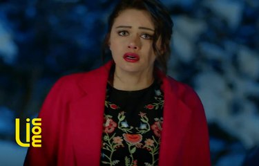 Kırlangıç Fırtınası - 1.Bölüm 5.Tanıtım