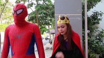 Spiderman & Frozen Elsa vs Joker ! Spiderman & Frozen Elsa vs Evil Queen! Superhero Animation