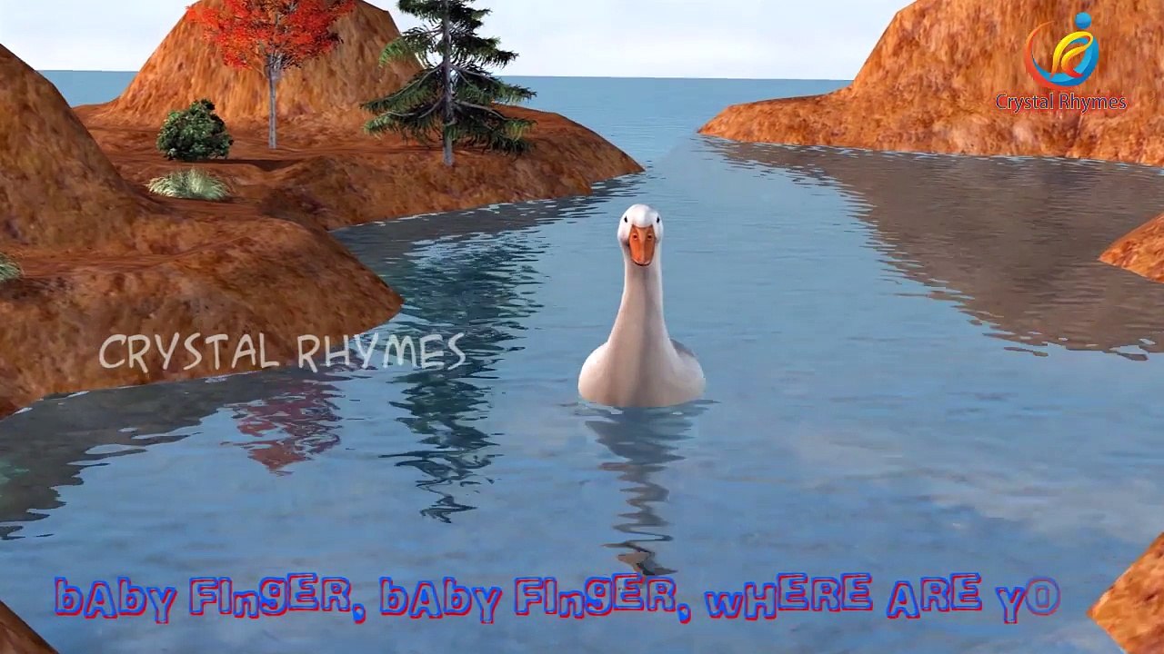 Duck Finger Famiy 3d animated Nursery Children popular rhymes