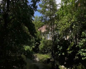 Arts de la rue - Quelques p'Arts..., pour un environnement culturel