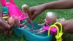 POOL Fun ! ELSA & ANNA toddlers & Chelsea slide Shopkins in the water! Splash, Jump, Swim, P