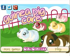 Guinea Pig Care Game- Play Free Online Game