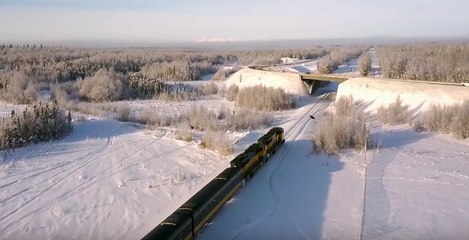 Un élan surpris un train