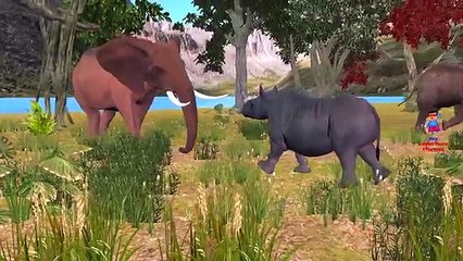 Elephant Vs Rhino Cartoons Singing Finger Family Nursery Rhymes For Children And Kids