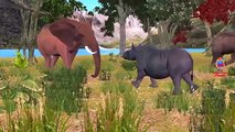 Elephant Vs Rhino Cartoons Singing Finger Family Nursery Rhymes For Children And Kids