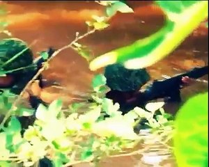 pakistan national songs Rahat Fateh Ali Khan - YouTube