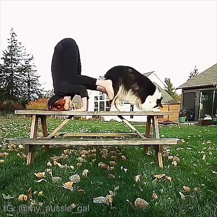 Elle fait ce qu'elle veut de son chien... Bien dressé l'animal