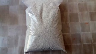 coated lipase /coated protease /for feed /detergent application