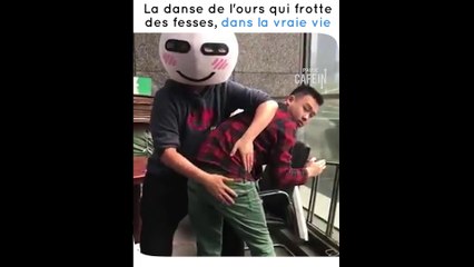 La danse de l'ours qui frotte des fesses, dans la vraie vie !