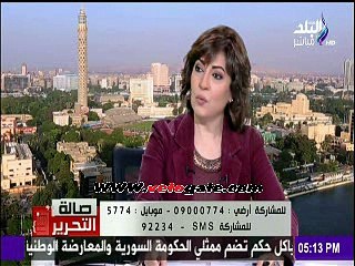 عمرو عمار: مصر ليست بحاجة معلومات الاستخبارات الأمريكية