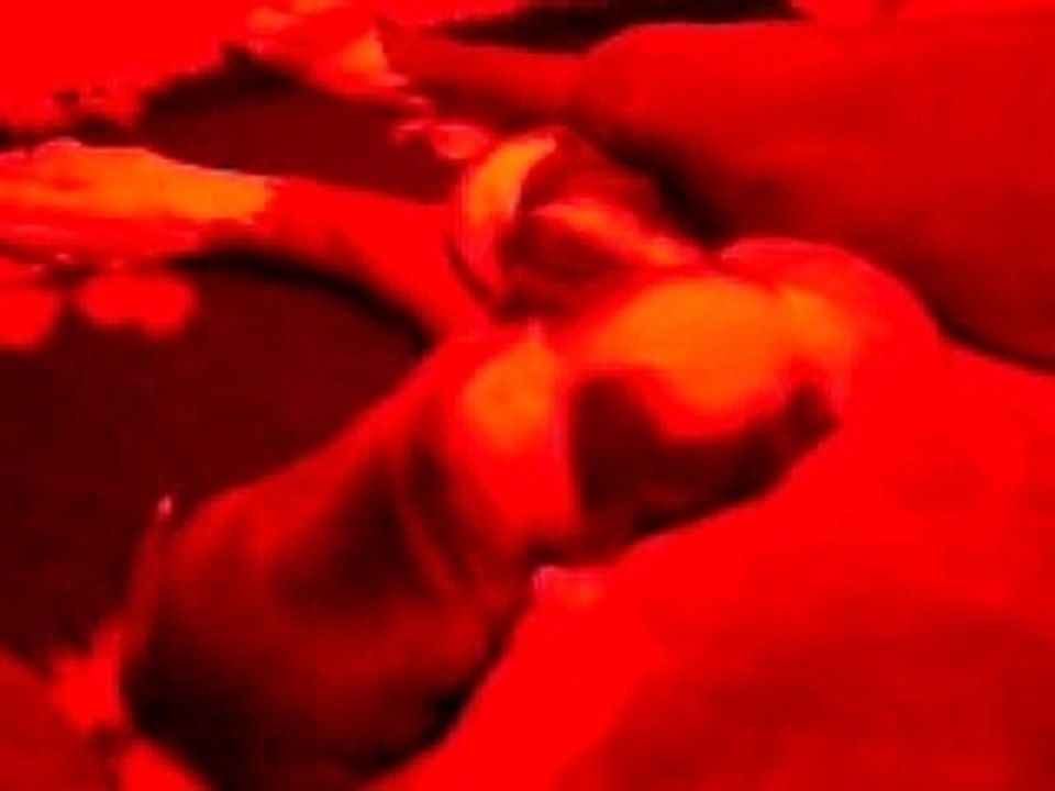 Chiots à 4 jours (2)