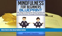 Kindle eBooks  Mindfulness for Beginners Blueprint: 40 Steps to Become More Present in the Moment