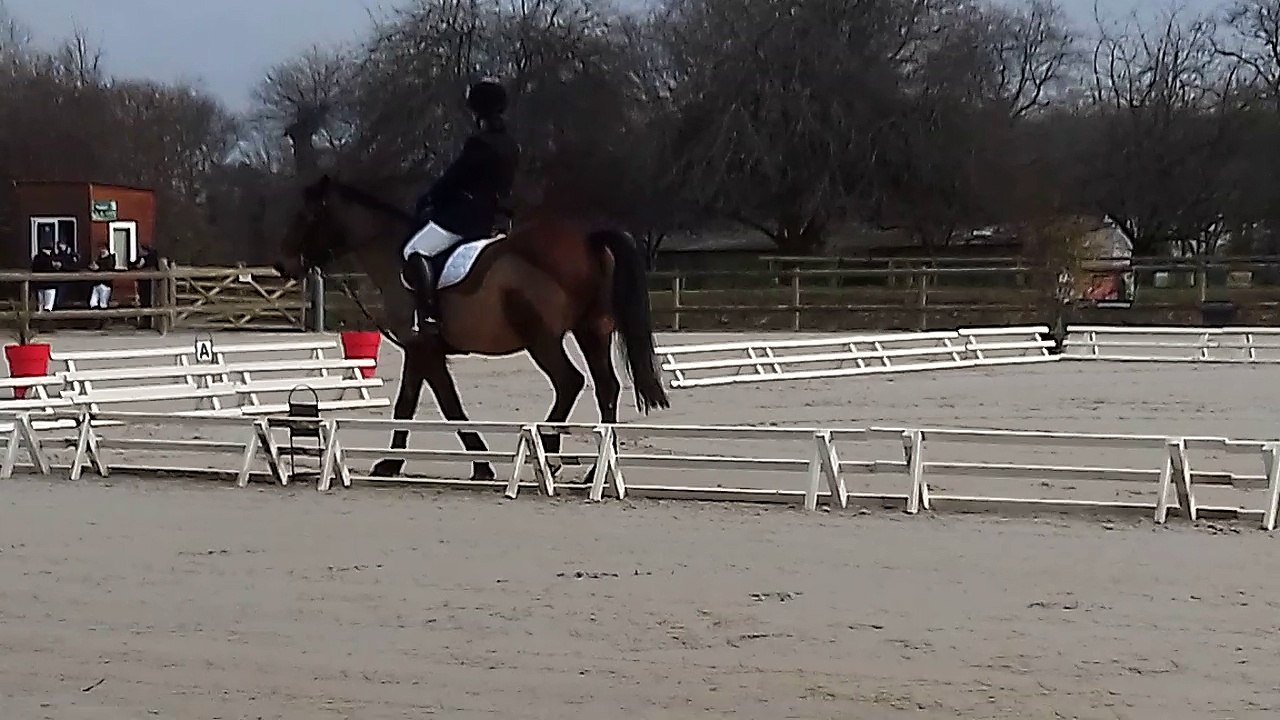 dressage février 2017
