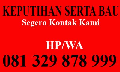 CARA MENYEMBUHKAN KEPUTIHAN SAAT HAMIL
